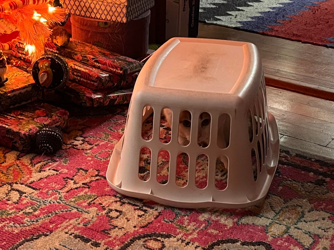 A white plastic laundry basket turned upside down on a colorful patterned rug, with a small Christmas tree and wrapped gifts in the background. A cat is partially visible, peeking out from under the basket.