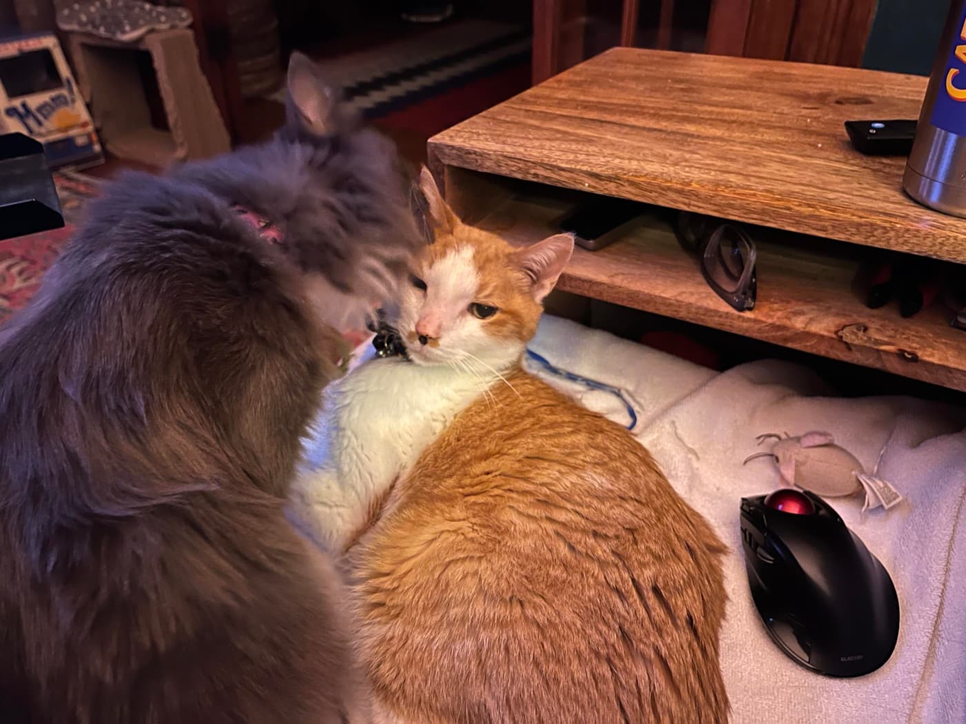 A gray cat is bathing an orange and white cat, both are resting on a light-colored blanket near a wooden table. A computer mouse and a small toy are also visible on the blanket