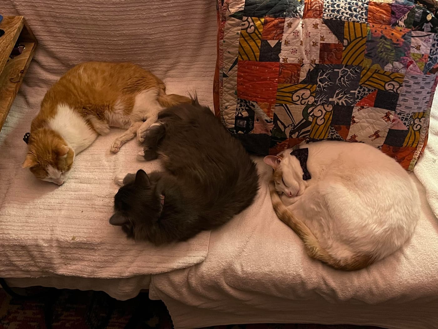 Three cats are peacefully sleeping on a light-colored blanket. The first cat (Catsby) is orange and white, the second (Miss Biscuits) is gray and fluffy, and the third (Cosmo Kitten) is predominantly white with orange markings and a bow tie. A colorful quilt is visible in the background.