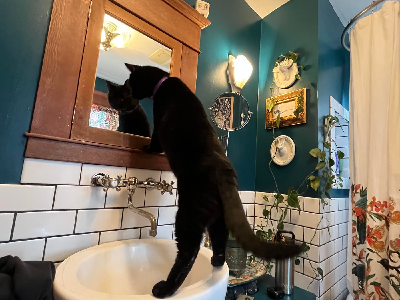 A black cat is standing on a sink, peering into a mirror in a bathroom. The background features teal walls, a shower curtain with floral patterns, and various decorative items.