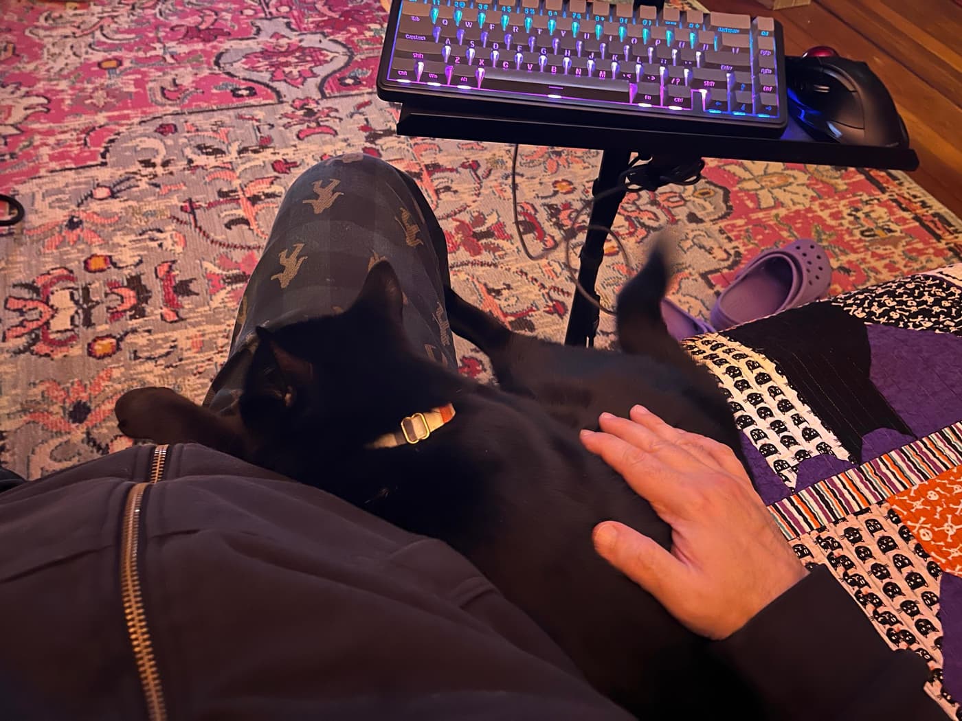 A person is seated with a black cat lying on their lap. The hand of the person rests gently on the cat. The setting features a colorful rug beneath, a keyboard on a nearby table, and a pair of purple slippers nearby.