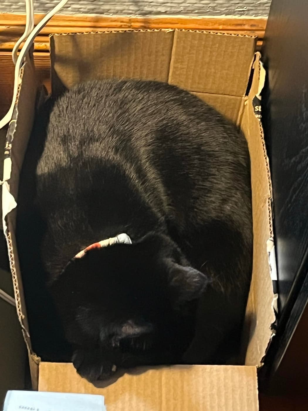 A black cat is curled up inside a cardboard box. The box is partially open, and there are some items, like paper, visible nearby.