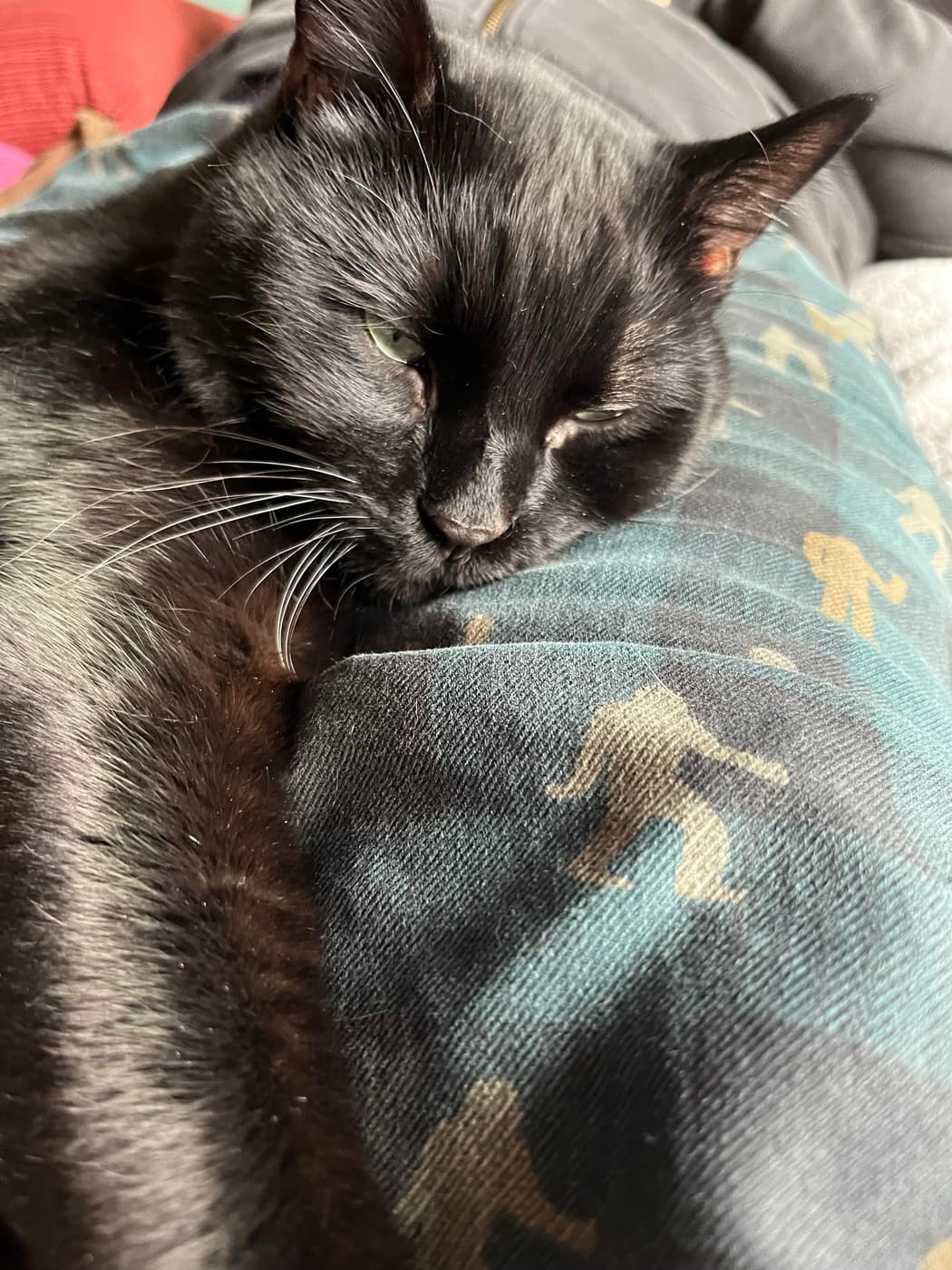 A black cat is lying on a patterned blanket, appearing relaxed with half-closed eyes. The blanket features a design with small figures, possibly representing bears or humanoid shapes. The background is slightly blurred, suggesting a cozy indoor setting.