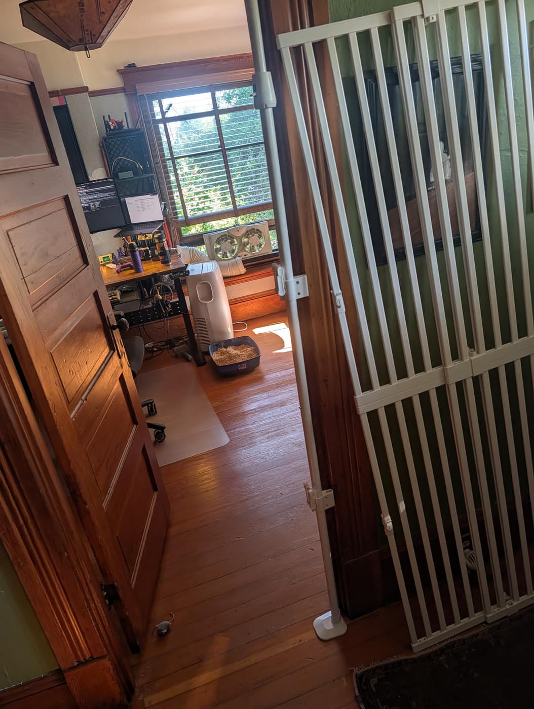 My office doorway with the cat jail gate set aside