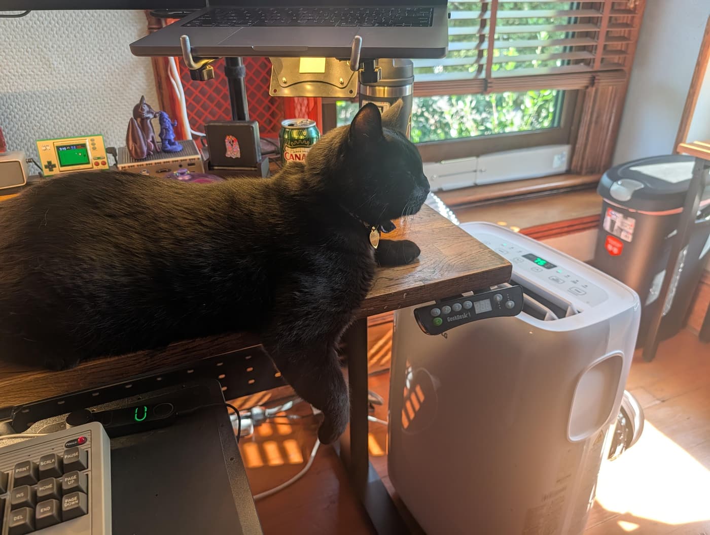 Further relaxation ensues for Minnaloushe