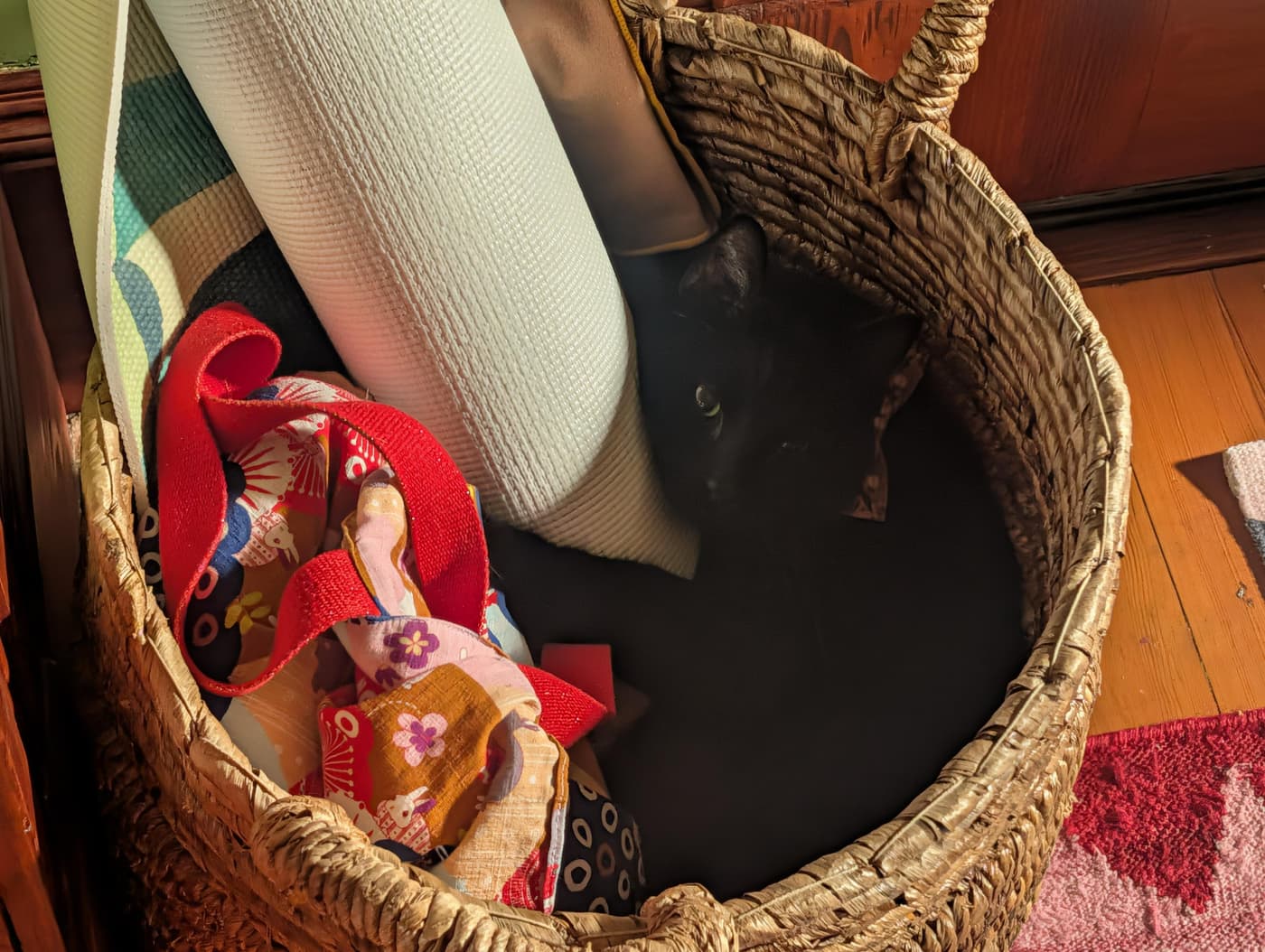 Black cat hides in a woven basket