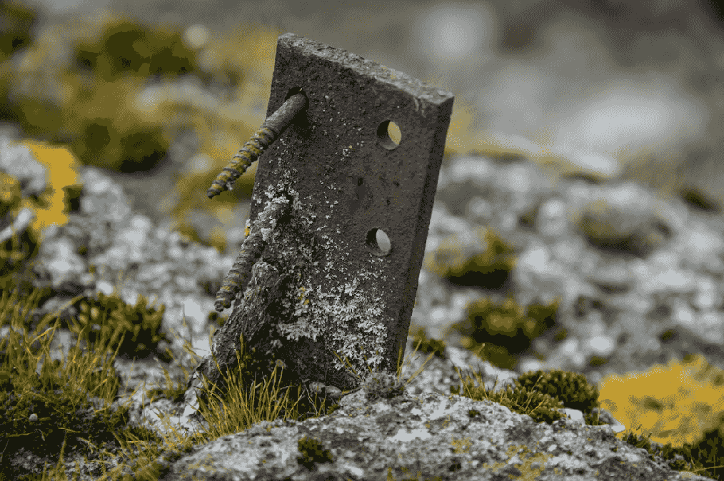 A rusty piece of metal sitting on moss-covered ground